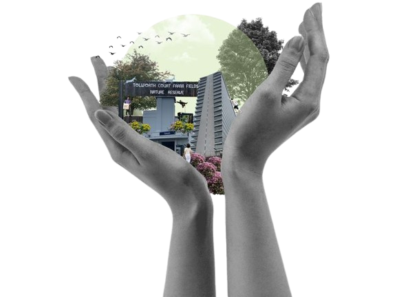 image-removebg-preview (11)